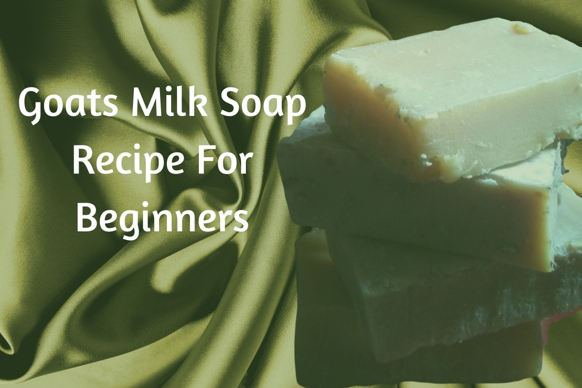 Homemade Goat Milk Soap Recipe For Beginners fast & easy Get Stunning Results