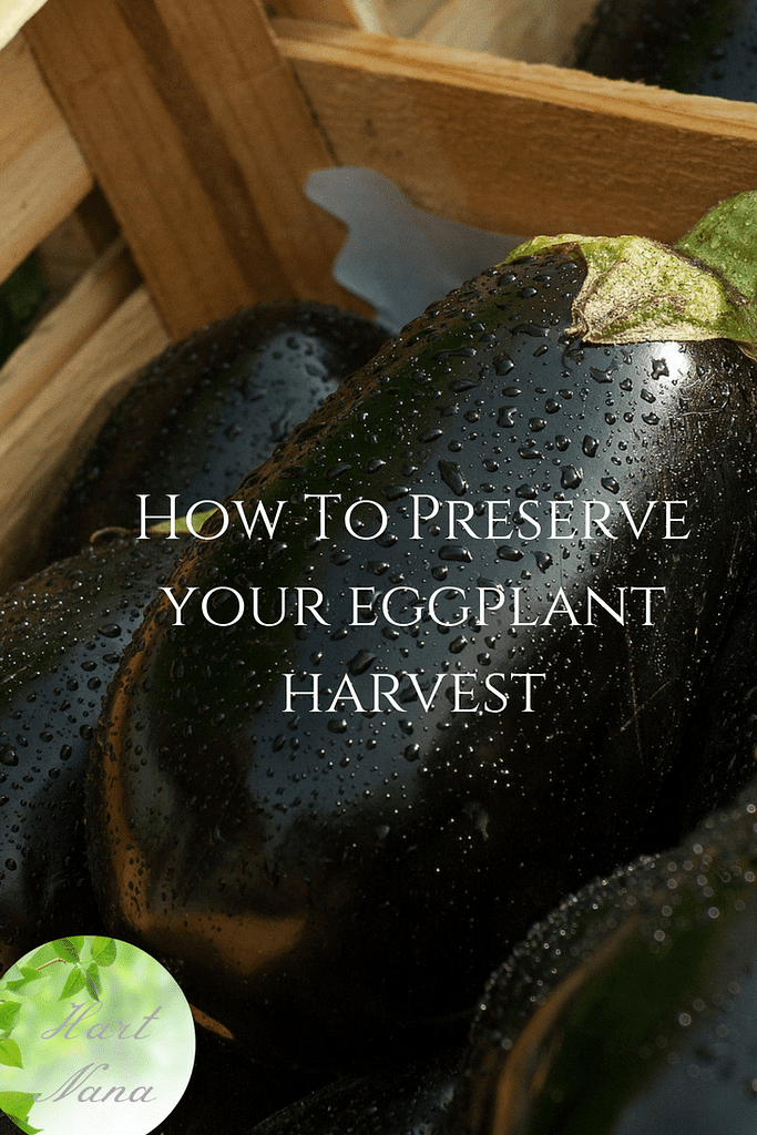 how to preserve your eggplant harvest 3 easy recipes