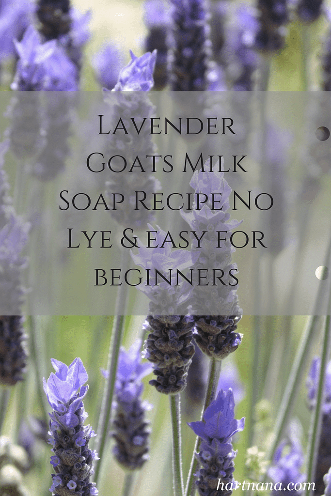 Lavender goats milks soap recipe, so simple, no lye soap recipes