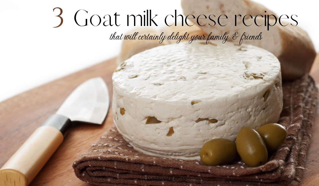 Goats Milk Cheese Recipes – How to Make Feta The Easy Way
