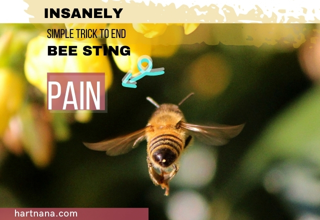 Insanely Effective Simple Trick To End Bee Sting Pain