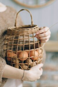 a person s hands holding a basket with eggs and walnuts - see how the walnuts could help with the chickens eating eggs problem?
